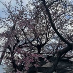 井関貴史 TAKASHI Iseki 堺市議会議員