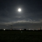 三重県よろずや