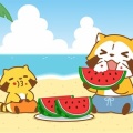 7月12日【土曜日】超超豪華ラインナップ営業日