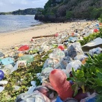 沖永良部島歳時記　未央流・写真・俳句・短歌で綴る、しまくらし