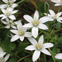 14年09月 カムとキクタンの大満足時代