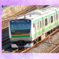 E233系3000番台を内房特快用として数本転属させたらどうか?