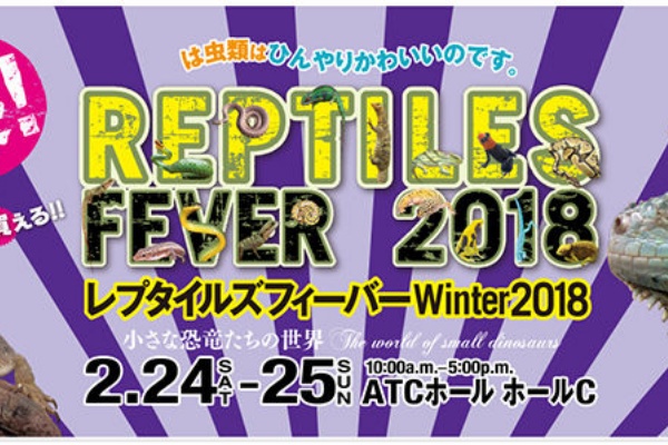 Candleブログ 18年02月