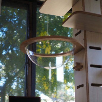 今年は無理だけど…