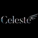[募集]歌舞伎町ホストクラブCeleste（セレステ）の求人情報