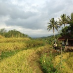 インドネシアの新聞ねた　ぶりた・いんどねしあ