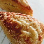 THE NORTHERN BAKERY