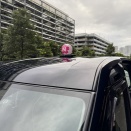 日本交通の幸運のタクシー(桜色の行灯)ご存知ですか？