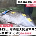 【朗報】マグロ一本釣り、5億で売れたら釣り上げた漁師に4億入るらしいｗｗｗｗｗ