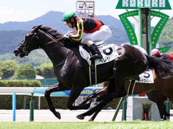 【競馬予想】第74回京都新聞杯(GⅡ) /2026