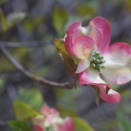 残存する繋がりを解消