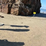 うるおいフルーティ再開