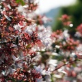 人の視点・虫の視点
