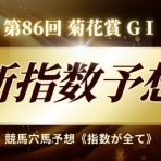 競馬穴馬予想《指数が全て》