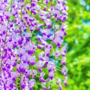 【カラーカード＆ブログ】4/8(水)　　PINK 【癒しのメッセージ】