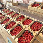 ラブリーで可愛いナンバーケーキレッスン！