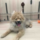 💙笑顔な男の子💙