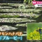 令和のニュース･話題など
