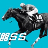 『【掟破りの金になる話】函館ＳＳ(G3)』の画像