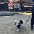 愛犬と一緒に福島県、日帰り車旅。*\(^o^)/*