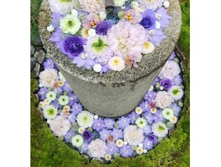 行田八幡神社　花手水　きれいだよ！