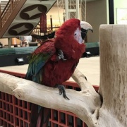 お金のかからない除湿方法 Gmoソリューションパートナー株式会社沖縄事業所ブログ