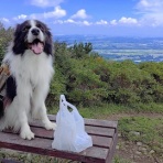 ひろいびと 清掃登山犬達と三重県の山ゴミ拾い清掃活動記録