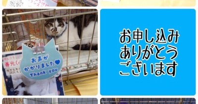 昨日は秘密結社ねこのひげ譲渡会♪