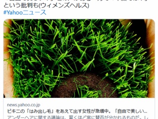 【👙】アンダーヘアは「ビキニからあえて出す」のが新常識？ 1400万再生で話題のトレンド「フルブッシュ」とは