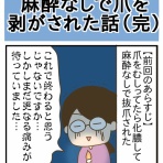 ひよっこ一家備忘録