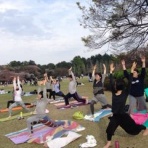 クリパルヨガティーチャー塚本希のblog