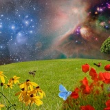 『真夏の怖い話グランプリ』結果発表スケジュール