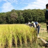 『奈良県初！奈良市東部地域が「どぶろく特区」に認定』の画像