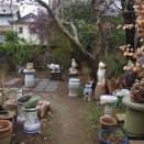 ２月２６日の庭