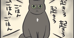 毎日スミちゃんの視線を感じてる