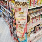 長野県 上田市  ペットショップ             ワンラブ                       アリオ上田店ブログ