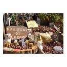 イタリア料理③前菜-7-70.栗