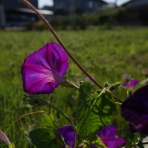 PhotoBlog PremierQuartier ～ペンタックス写真ブログ、上弦の月