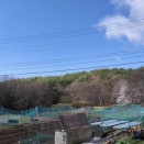 マルチ張りの続き