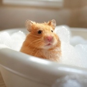 twitter女子「彼氏が母親が入ったあとのお湯に浸かってるらしいんだけどこれって普通なん？私の家がおかしいだけ？」