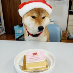 メリークリスマス