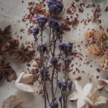 『感謝する』の画像