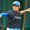 井端ジャパン初陣に日本ハム・根本の選出濃厚　オーバーエージ枠にヤクルト・田口、西武・今井、広島・坂倉が内定