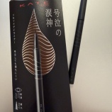 『💧汗っかきBBA、夏の生存アイテムを手に入れました〜ケイトの新作アイライナー号泣の涙神を買ってみたよ！〜』の画像