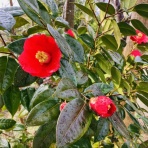 ヨーガ うみむすび