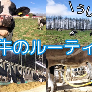 放浪画家「旅びっとん」こと、画家「神田雅志」のブログ　