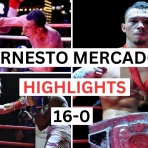 気まぐれボクシング通信