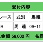 ローリスクのころがし競馬予想ブログ：コロガシ競馬