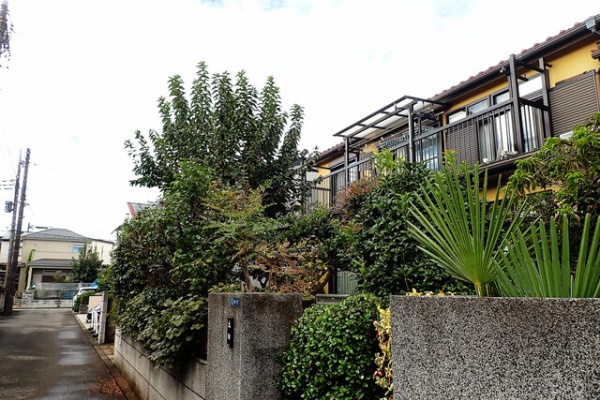 酒中日記('15「酒中日記」製作委員会) Amazon.co.jp: 酒中日記 : 坪内 祐三: 本