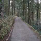 『高柄山』の画像